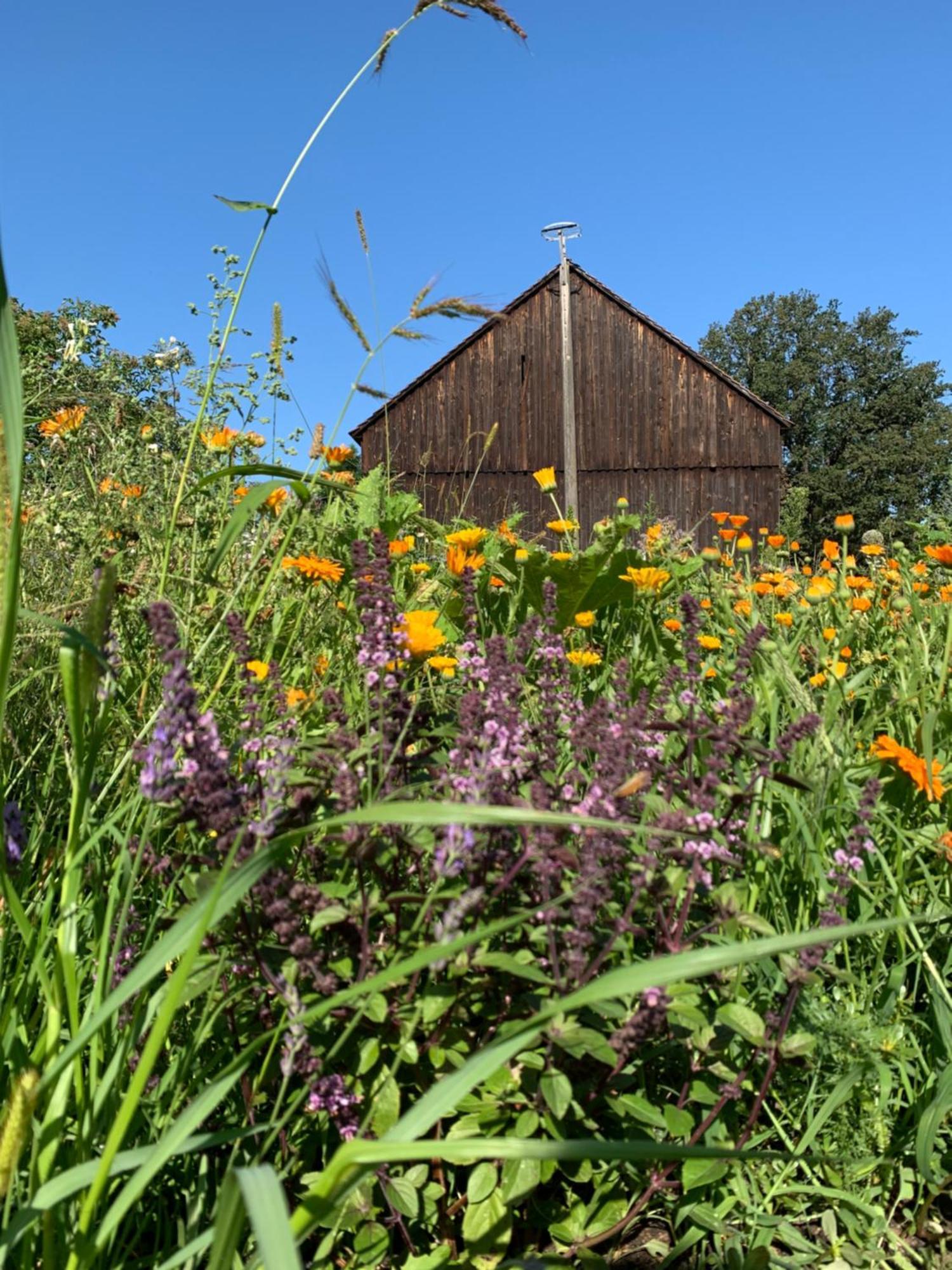 Alter Gasthof Missen Vetschau Exteriér fotografie