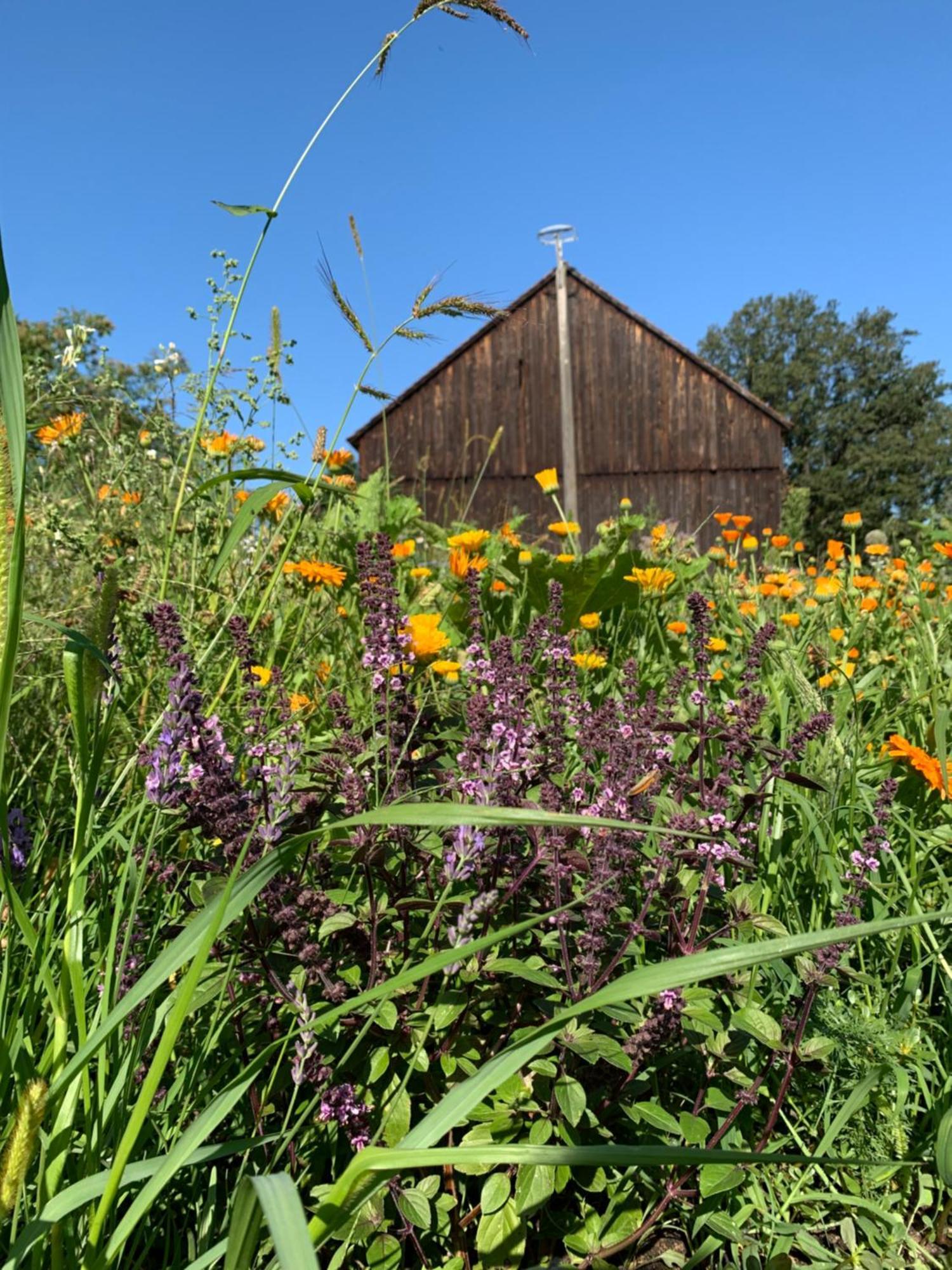 Alter Gasthof Missen Vetschau Exteriér fotografie